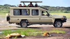 jeep jeep