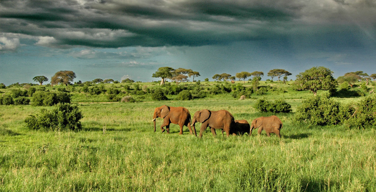 tarangire-np