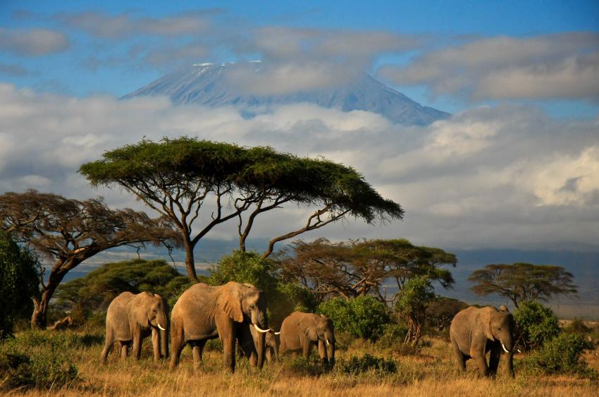 thumb_850_95_tanzania-vacation
