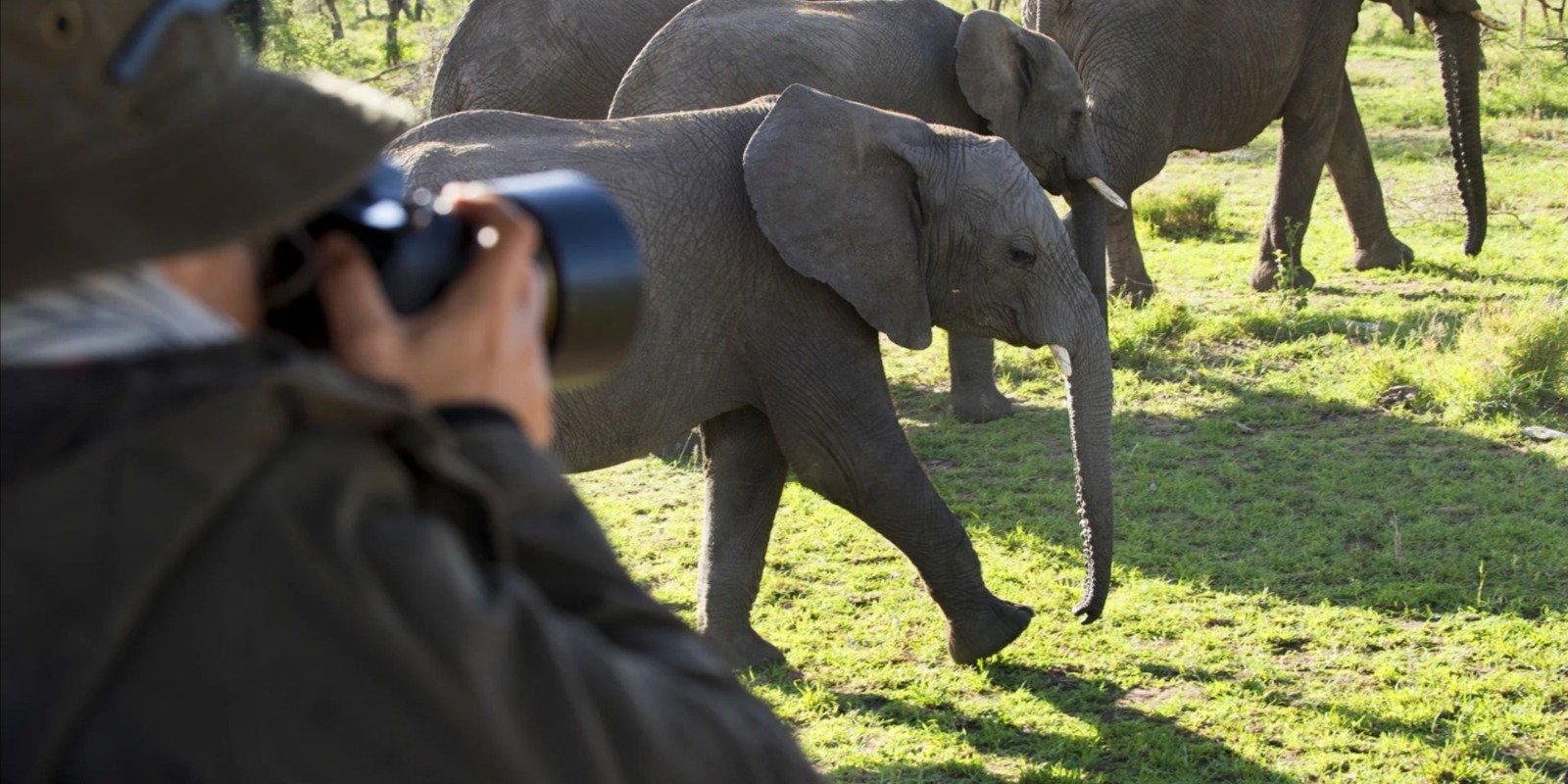 day-trip-to-tarangire-national-park