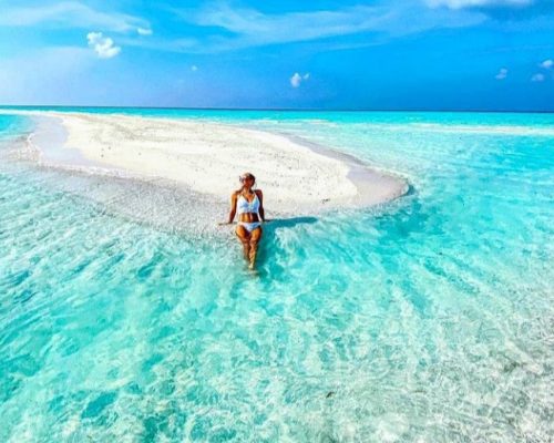 Dolphin & Safari Blue Tours Dolphin & Safari Blue Tours