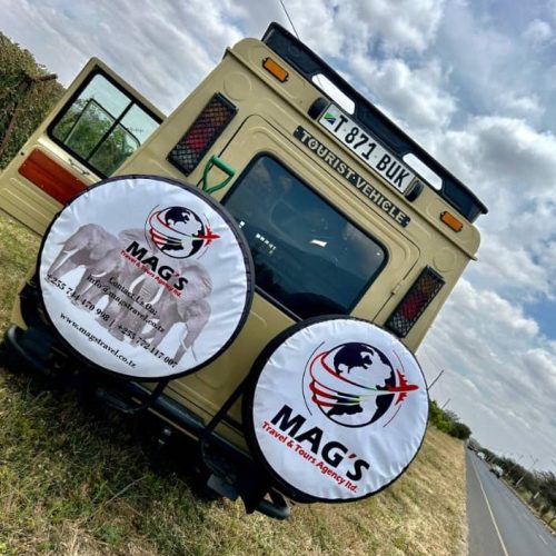 Why Choose Mag’s Travel & Tours Agency?
