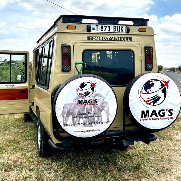 Mag’s Travel & Tours Agency – Services Mag’s Travel & Tours Agency - Services