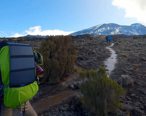 Kilimanjaro_Climbi_via_Northern_Circuit_Route_16