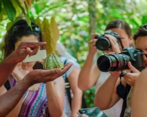 Spice-farm-Tour-from-stone-town Spice-farm-Tour-from-stone-town