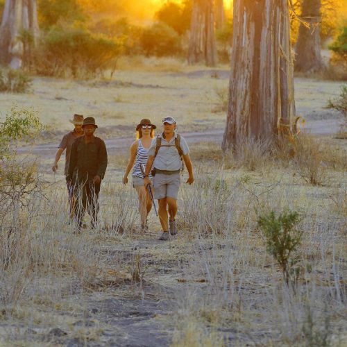 selous-and-ruaha-14